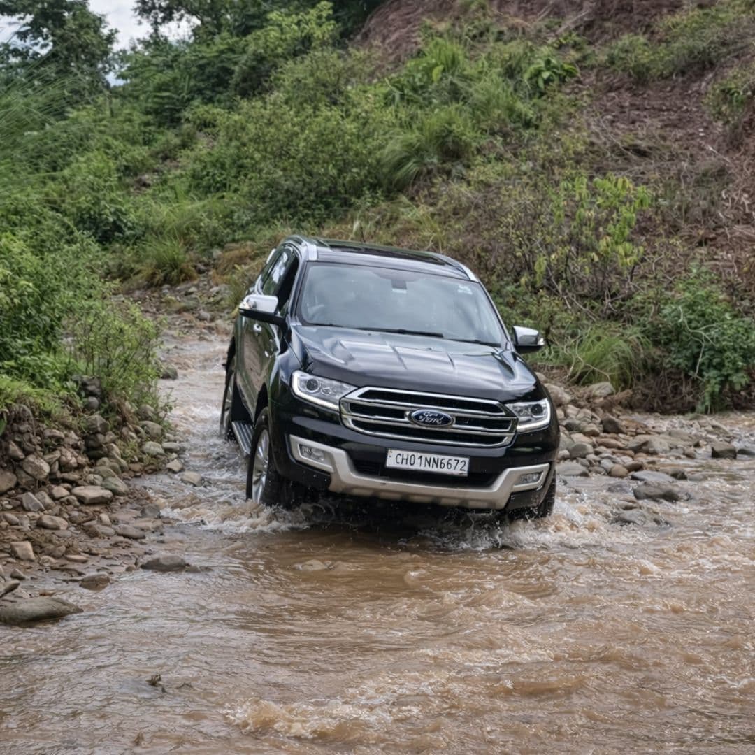 Someone ziplining through the trees.