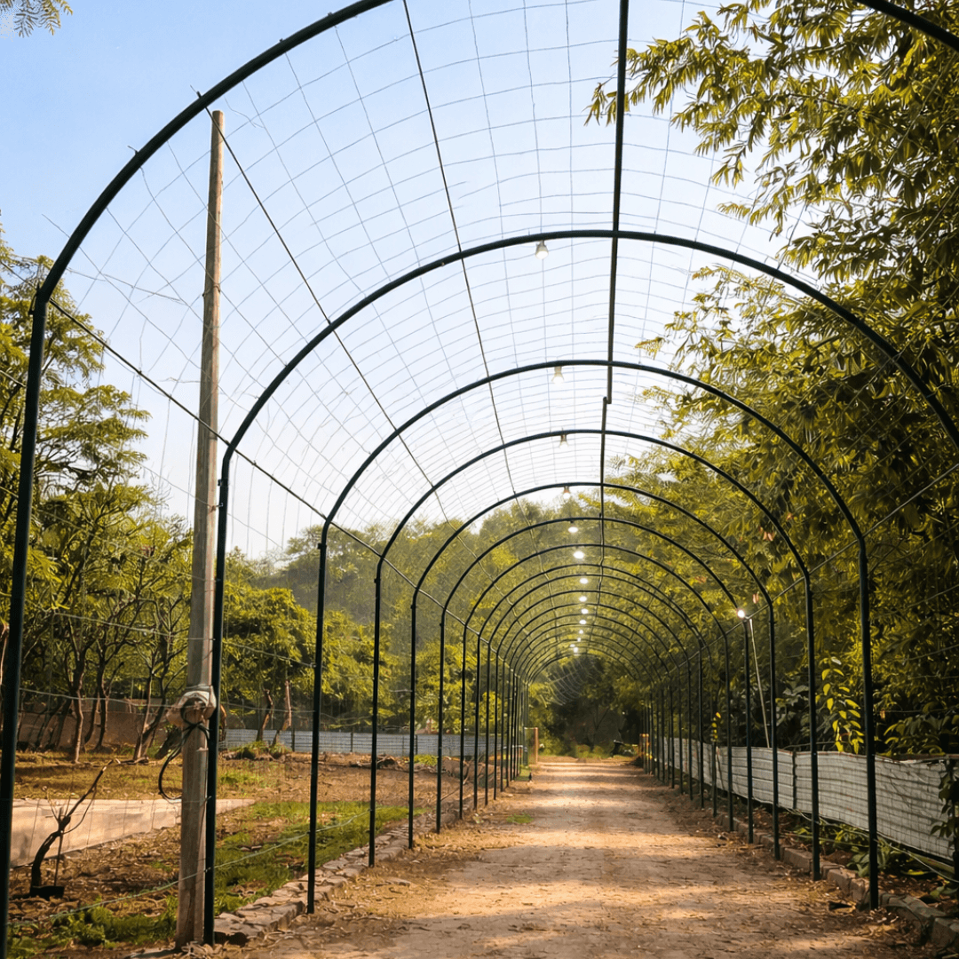 Balcony view from a luxury cottage overlooking the valley.