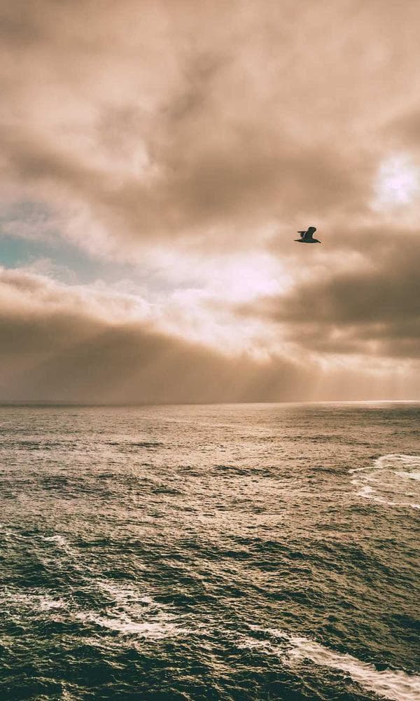 Corporate Offsite Party